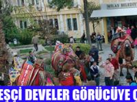 DEVE GÜREŞLERİNE DAVET