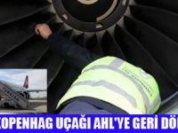 KUŞLAR UÇAK İNDİRİYOR