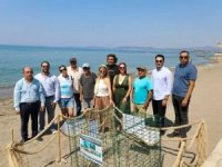 Doğanın Mucizesi Gümüldür’de!