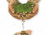 Rize Hafızasını Kayıt Altına Alıyor 