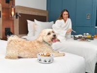 Amaca Yönelik Tatiller, Seyahat Tercihlerinde Yeni Standart Haline Geliyor