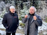 Araklı Belediyesi Yaylada Bungalov ve Karavan Parkı Kuruyor