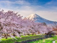 Gelenekten geleceğe otantik adaların ülkesi: Japonya