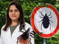 Kene Isırığında Erken Müdahale Hayat Kurtarıyor