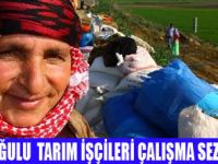 TARIM İŞÇİLERİ ÇUKUROVA'YA GELDİ