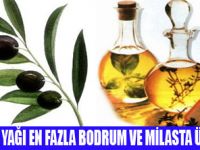 2008'DE 150 BİN TON ZEYTİN TOPLANDI
