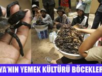 BÖCEK YEMEKLERİYLE ÜNLÜ ÜLKE