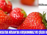 HİLTON PARKSADA İKİ LEZZET