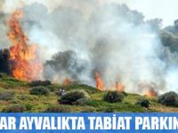 KAÇAKLAR AYVALIKTA TABİAT PARKINI YAKTI