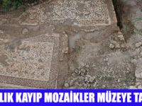 KAYIP MOZAİKLER