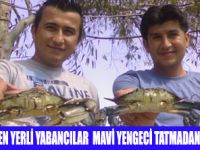 MAVİ YENGEÇ BEYMELEKİN MARKASI