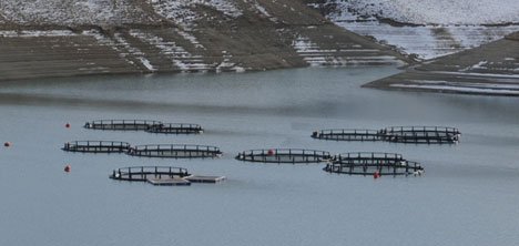 ag-kafes,zernek-baraji,vali-munir-karaloglu-,.jpg ag-kafes,zernek-baraji,vali-munir-karaloglu-,.jpg