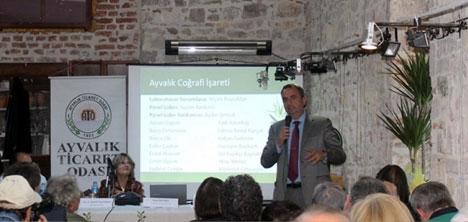 ayvalik-zeytin-hasat-gunleri-,ayvalik-belediyesi,-ayvalik-ticaret-odasi-,ayvalik-ziraat-odasi-,2.jpg