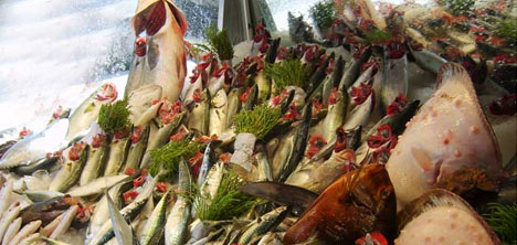 balik-cesitleri.jpg balik-cesitleri.jpg