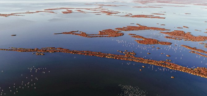 gediz-deltasiunesco-dunya-doga-mirasi-flamingotepeli-pelikan.jpg