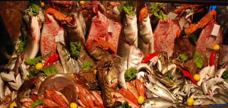 karakoy-galataport-afrodit-,lufer-,balik,salata,meze,22.jpg karakoy-galataport-afrodit-,lufer-,balik,salata,meze,22.jpg