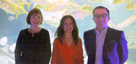 sea-life,merlin-entertainments-group,2.jpg sea-life,merlin-entertainments-group,2.jpg