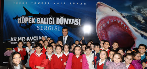 sisli-belediye-baskani-mustafa-sarigul,-kopek-baligi-dunyasi-sergisi1.jpg sisli-belediye-baskani-mustafa-sarigul,-kopek-baligi-dunyasi-sergisi1.jpg