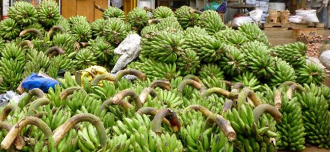 uganda-matooke.jpg