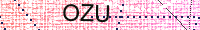 Güvenlik Resmi